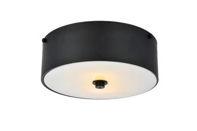Two light Flush Mount2580865