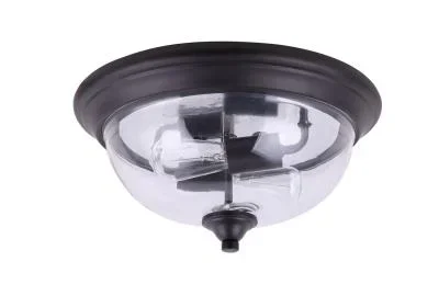 Two Light Flush Mount2967898