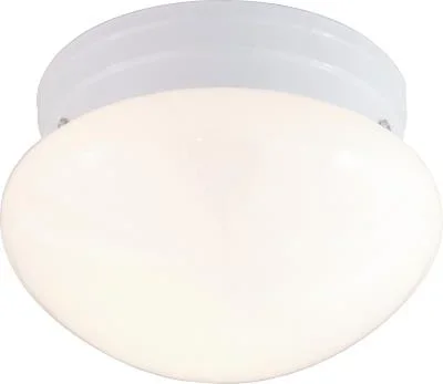 Two Light Flush Mount340416