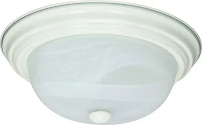 Two Light Flush Mount483303