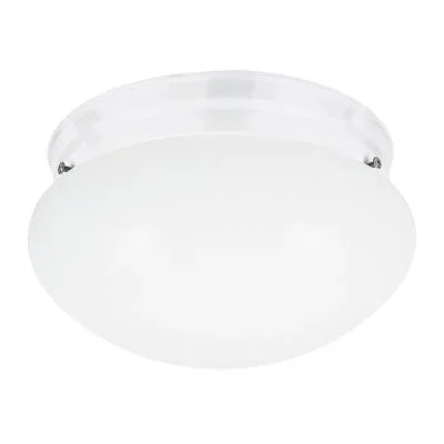 Two Light Flush Mount806089