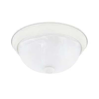 Two Light Flush Mount825236