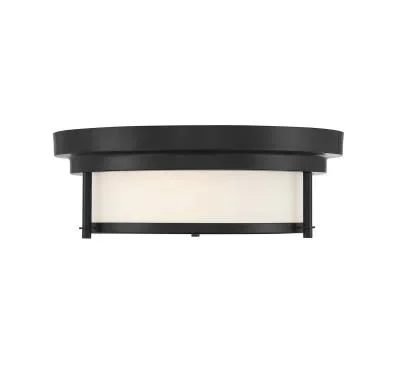 Two Light Flush Mount8882423
