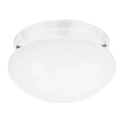 Two Light Flush Mount904210