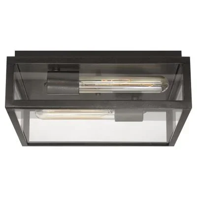 Two Light Flush Mount971751
