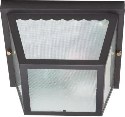 Two Light Flush Mount986863