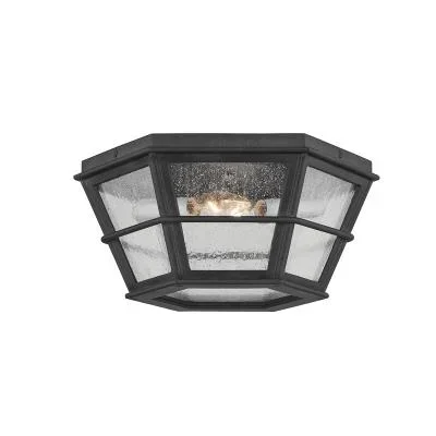 Two Light Flush Mount9957173