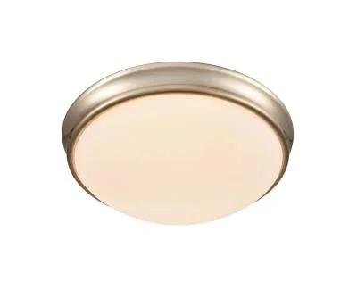 Two Light Flushmount4424747