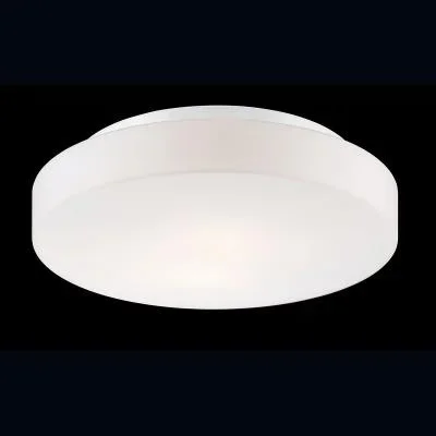 Two Light Flushmount769827