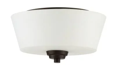 Two Light Flushmount854742
