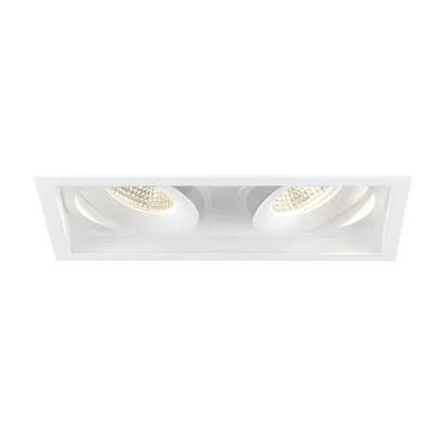 Two Light Gimbal3166648
