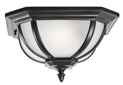 Two Light Outdoor Ceiling Mount390858