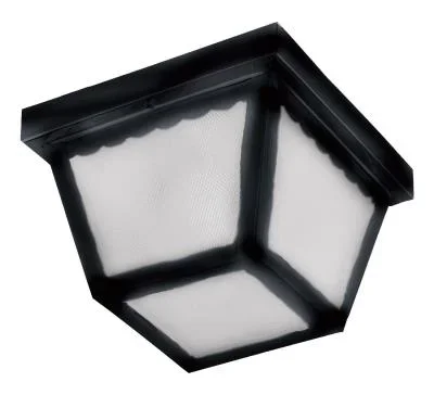 Two Light Outdoor Ceiling Mount541391