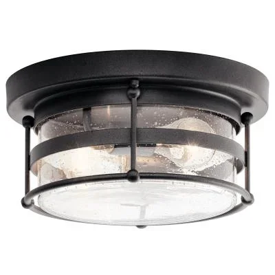 Two Light Outdoor Ceiling Mount609395