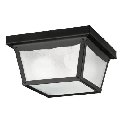 Two Light Outdoor Ceiling Mount617174