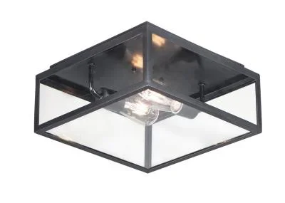 Two Light Outdoor Ceiling Mount6464690