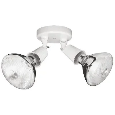 Two Light Outdoor Flood Light419555