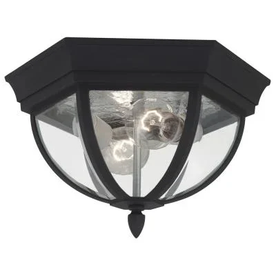 Two Light Outdoor Flush Mount168824