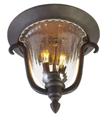 Two Light Outdoor Flush Mount400857