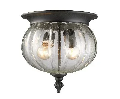 Two Light Outdoor Flush Mount504124