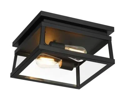 Two Light Outdoor Flush Mount6109694