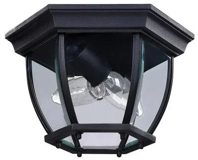 Two Light Outdoor Lantern797233