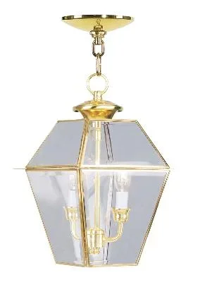 Two Light Outdoor Pendant527816