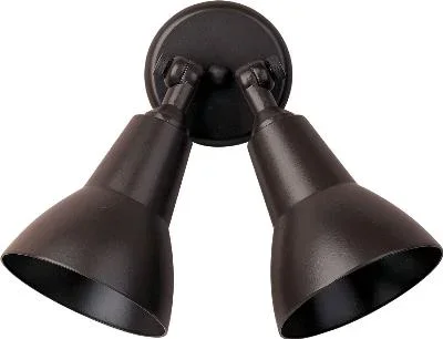 Two Light Outdoor Wall Lantern668888