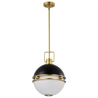 Two Light Pendant2693038