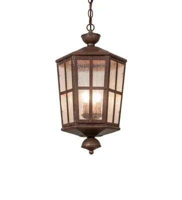 Two Light Pendant3155907