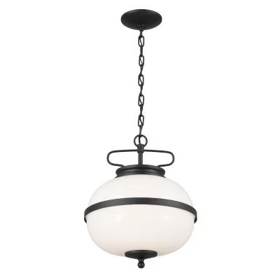 Two Light Pendant6333520