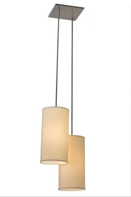 Two Light Pendant787876