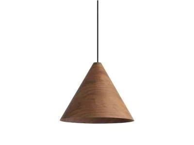 Two Light Pendant8057709