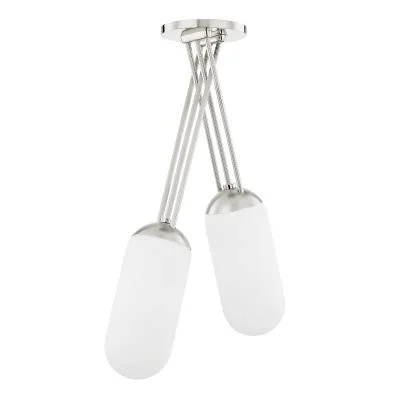 Two Light Pendant8373579
