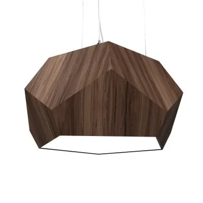 Two Light Pendant9342629