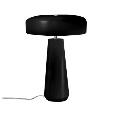 Two Light Portable3822185