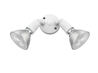 Two Light Security Flood Light6195309