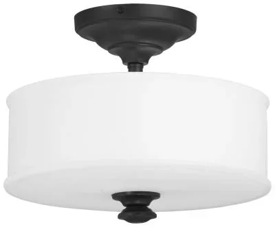 Two Light Semi Flush Mount3326884