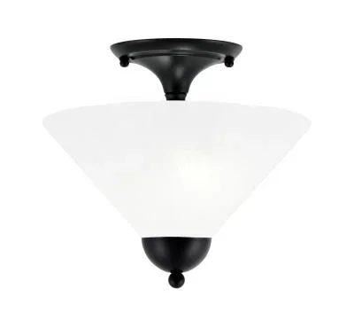 Two Light Semi-Flush Mount8103981