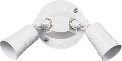 Two Light Wall Mount438891