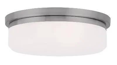 Two Light Wall Sconce/Ceiling Mount005842