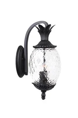 Two Light Wall Sconce097678