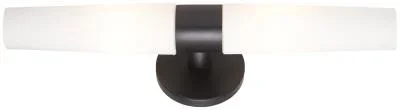Two Light Wall Sconce2214133