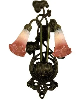 Two Light Wall Sconce628137